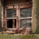 Reflex'82 07 Karin Luttmer